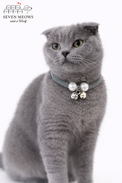 Pearl Rebel Bell Cat Collar