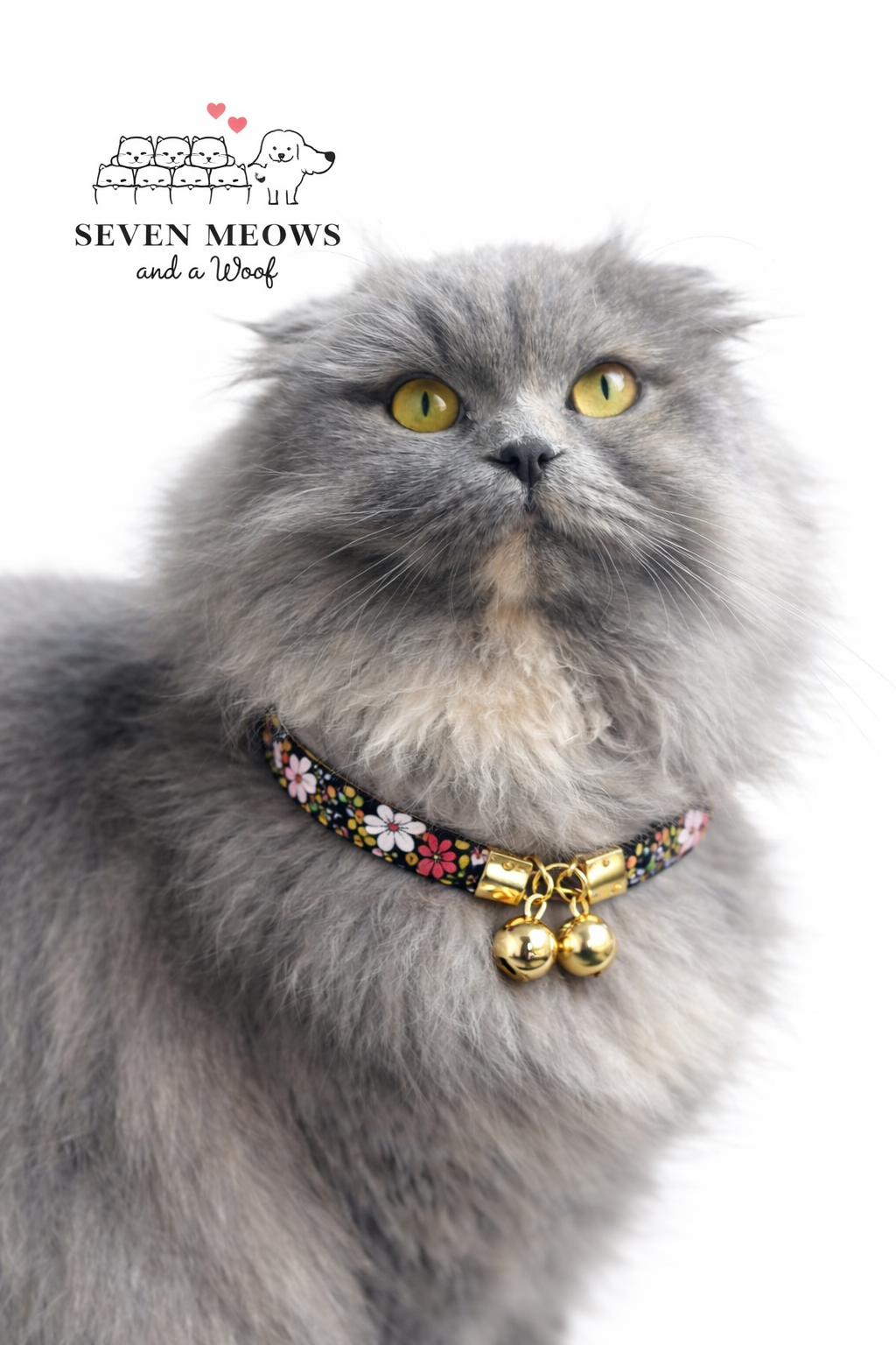 Golden bloom Diva Collar