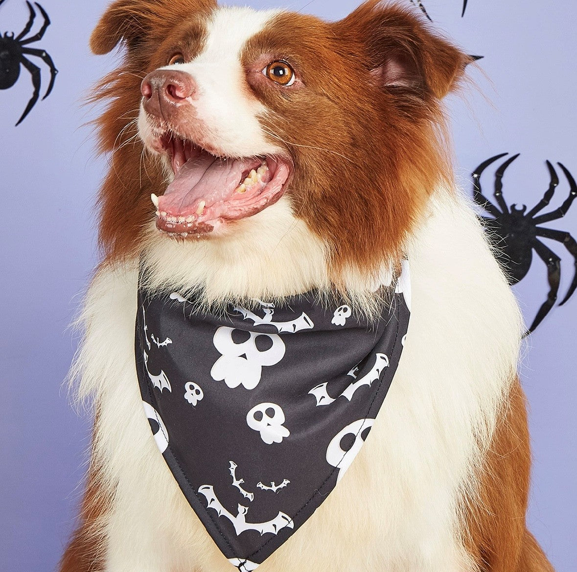 Skull King Bandana
