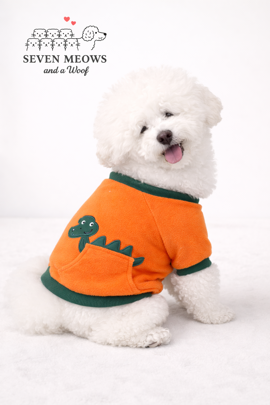 Snuggle Dinosaur pet Hoodie