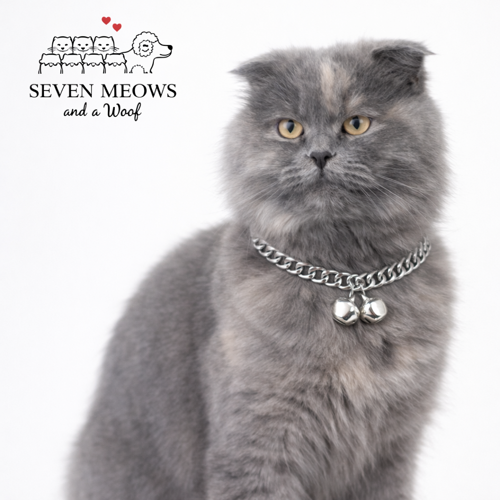 Silver Purr Chain Collar