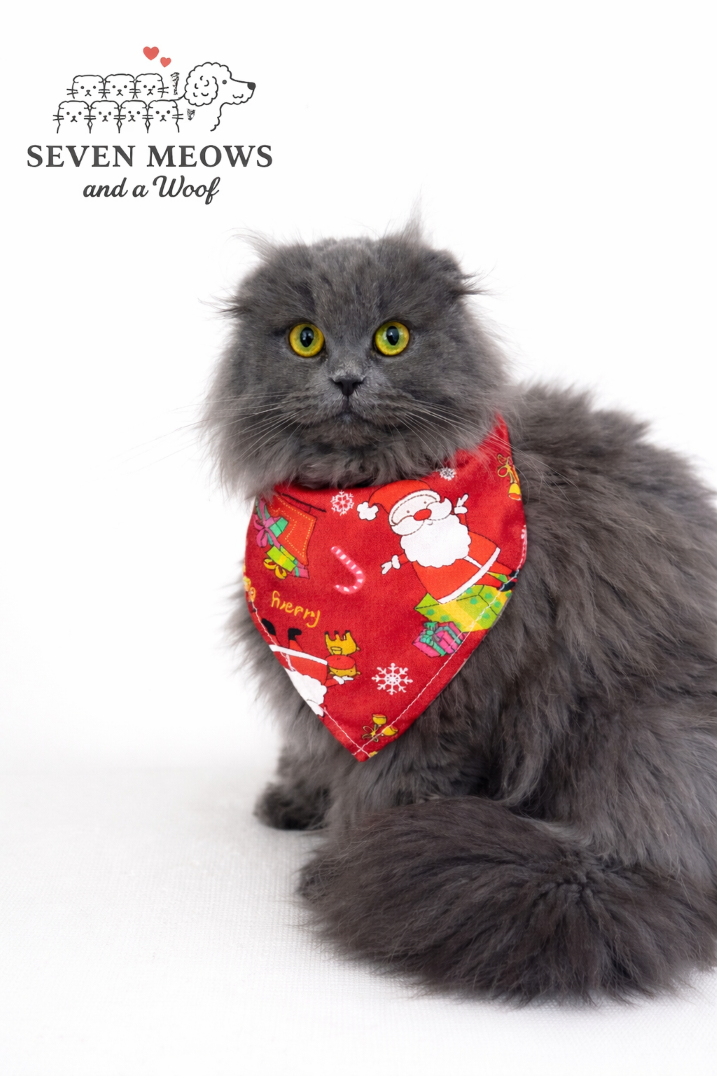 Christmas Paw Bandana