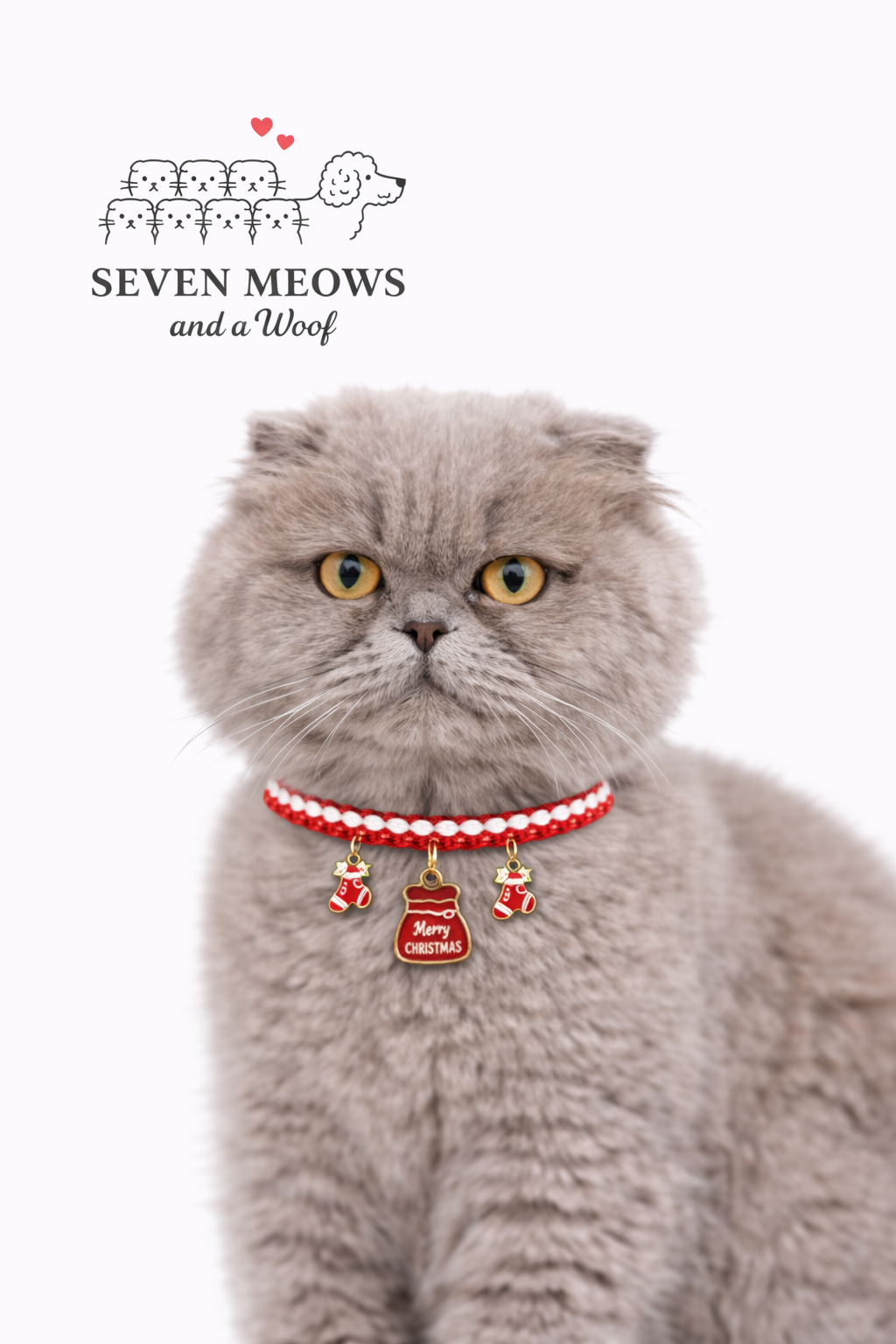 Braided Santa white Pet Collar